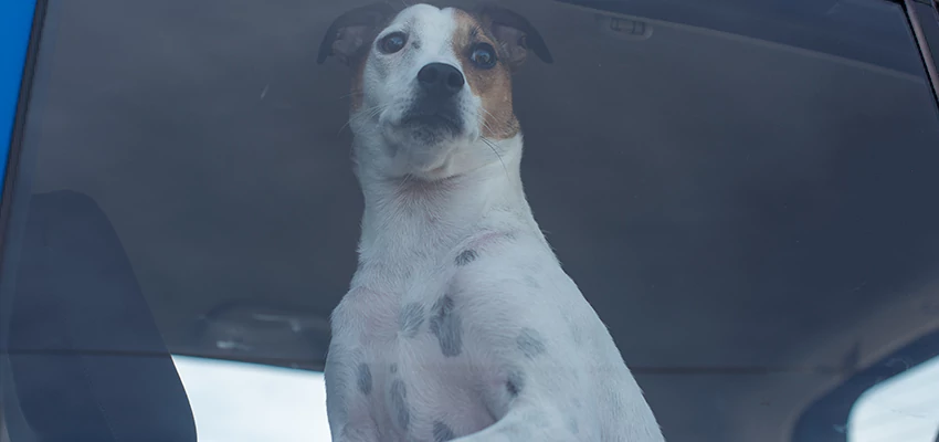 Car Lockout Solutions in Burbank, California